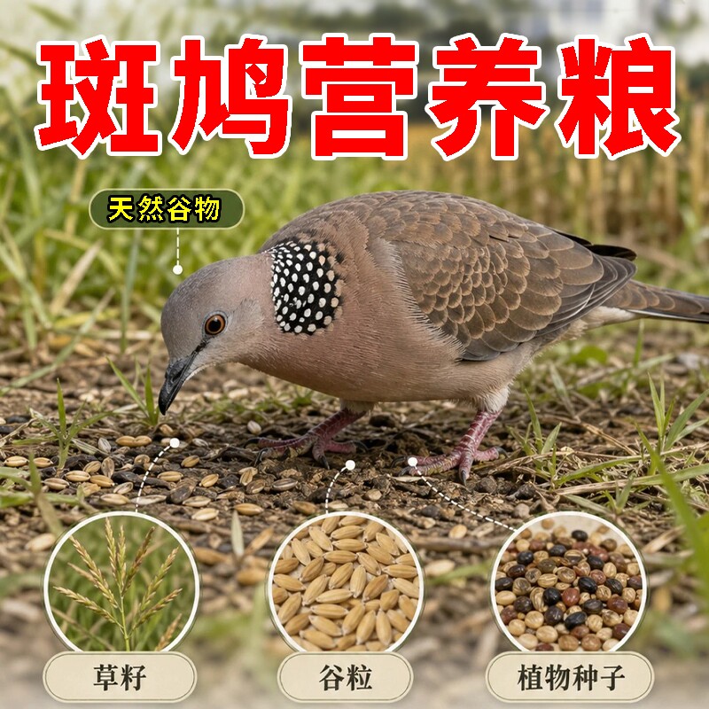 斑鸠专用饲料幼鸟食物五色黍子谷物鸟粮特级小颗粒鸽子鹦鹉通用粮