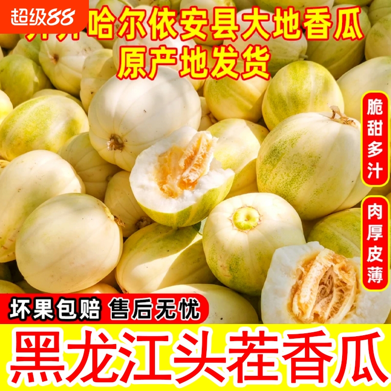 东北香瓜黑龙江大地甜瓜当季水果头茬现摘新鲜多汁产地直发