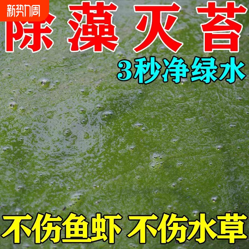 鱼池除藻去苔剂不伤鱼虾蟹鱼塘青苔蓝藻除绿浮萍清除剂养殖净水