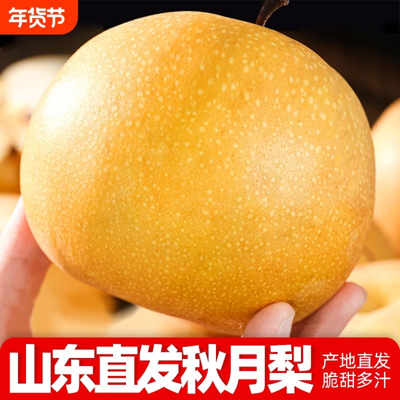 正宗山东莱阳秋月梨新鲜水果当季现摘冰糖梨雪梨蜜梨整箱产地直发,水产肉类/新鲜蔬果/熟食,梨,淘宝优惠券,粉丝福利购,淘宝优惠卷