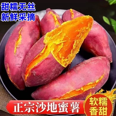 沙地黄心蜜薯龙九红薯