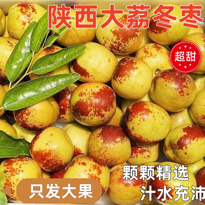 陕西大荔冬枣新鲜大果应季整箱枣子青枣脆枣冰糖大枣5斤当季水果