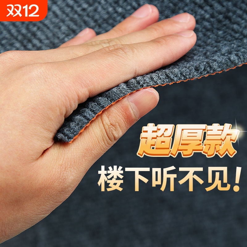 纯色隔音地毯满铺家用可裁剪