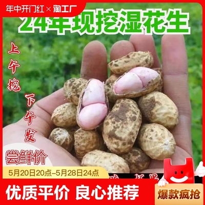 【官方推荐】现挖新鲜湿花生包邮