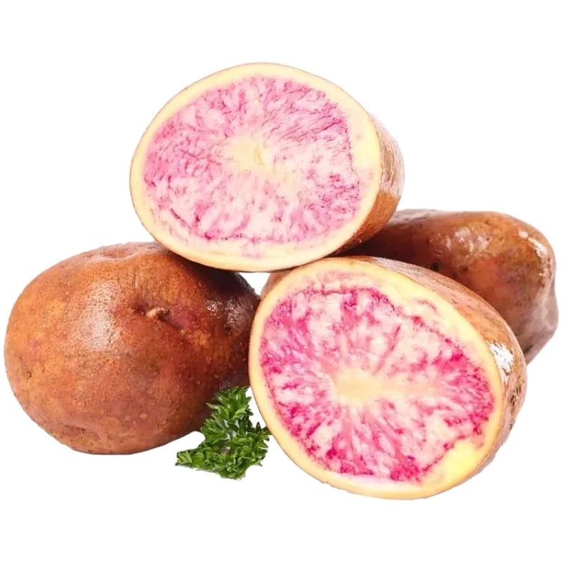 正宗云南七彩土豆现挖新鲜红皮红心当季蔬菜马铃薯孕妇孩子都爱吃,水产肉类/新鲜蔬果/熟食,土豆,淘宝优惠券,粉丝福利购,淘宝优惠卷