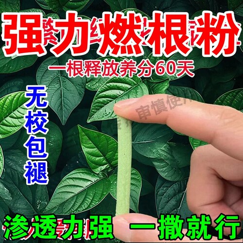 植物营养棒缓释肥料盆栽绿植通用型家用花卉促开花长效营养F