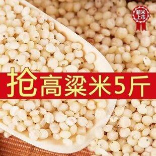 高粱米新米脱皮五谷杂粮粘糯米粥健康粗粮去壳白高粱新货煮粥尝鲜