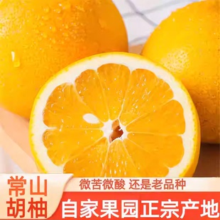 常山胡柚当季应季水果孕妇水果特产水果果皮有花斑微苦