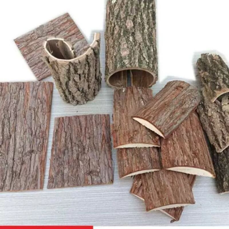 树皮造景宠物爬虫鱼缸青苔小动物生态箱香槟石斛洋兰种植板雨林缸