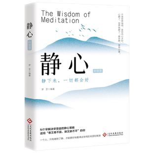 正版速发静心静下来一切都会好情绪控制方法人生智慧哲学青春励志心灵鸡汤正能量战胜焦虑心理学成功修身养性书籍如果自我读者文化