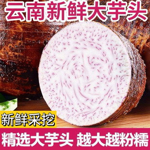 云南农家新鲜大芋头整箱芋头正宗槟榔芋头香芋现挖毛芋头 包邮
