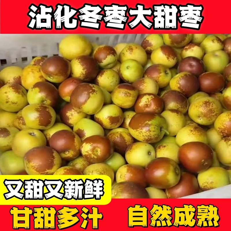 正宗山东沾化冬枣新鲜水果脆甜大枣3斤5斤装整箱包邮美味健康可口