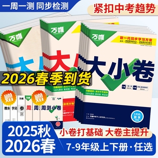 唯中考大小卷初中七八九年级上册下册语文数学英语物理化学生物历史地理同步练习册测试卷初必刷题阅读沪科版 基础 情境计算题湘教版