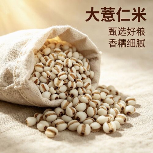 大薏仁米新货薏芢米苡米大粒薏仁米可搭配赤豆红豆五谷杂粮粗粮