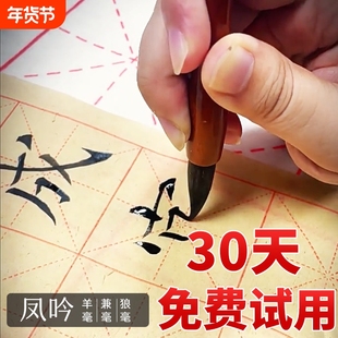 毛笔兼毫中楷狼毫书法专用初学者国画羊毫毛笔大中小号专业级加大