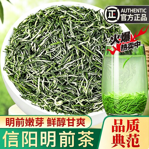 2026新茶毛尖茶叶信阳春茶明前特级嫩芽浓香型绿茶散装毛尖茶500g