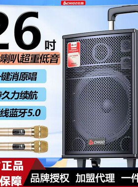 漫步者款无线蓝牙广场舞音响户外直播便携K歌音箱大功率拉杆音箱