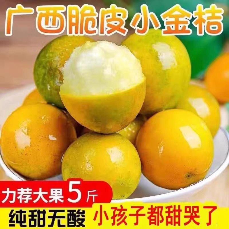 脆皮小金桔新鲜金桔广西脆皮金桔5斤新鲜小金桔孕妇青橘大果