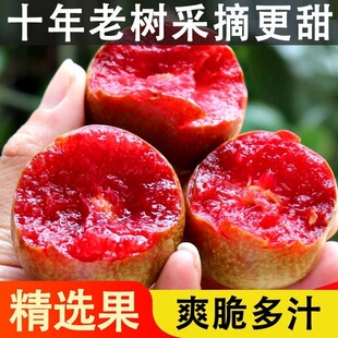 云南三华李3斤当季新鲜酸脆李子三华李青脆李孕妇水果开胃整箱