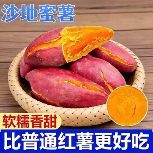 沙地蜜薯板栗红薯黄心番薯批发价