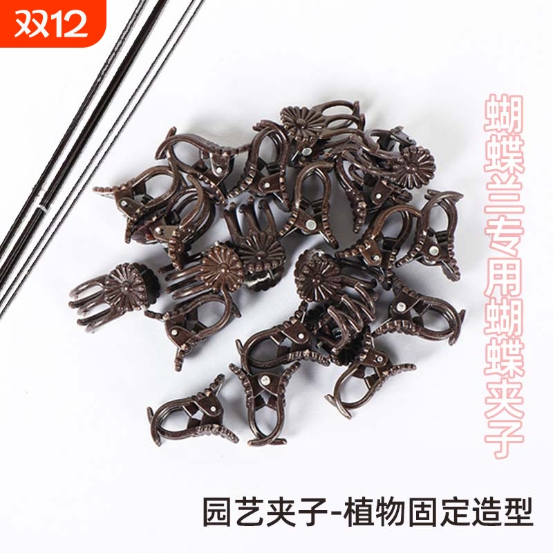 蝴蝶兰夹子园艺造型爬藤类固定