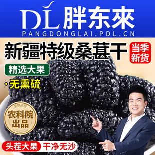 正宗新疆桑葚干黑桑椹子特级干果新货泡茶新鲜无沙桑葚茶晾晒枸杞