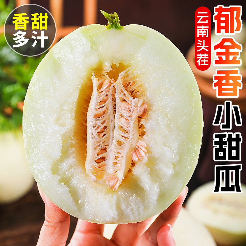 云南郁金香甜瓜新鲜采摘应季水果高香头茬小香瓜冰淇淋网纹哈蜜瓜