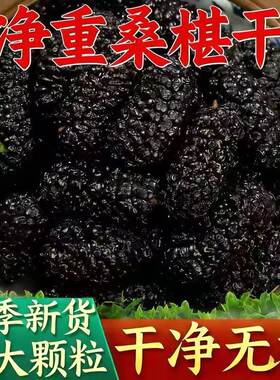 尊善堂新疆特产吐鲁番桑葚果干无沙黑桑椹子大颗粒泡酒葡萄干果