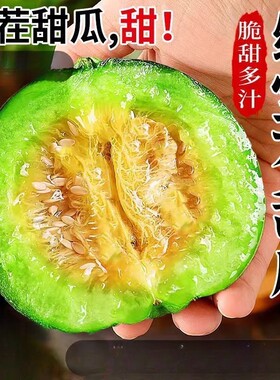 现摘山东绿宝甜瓜香瓜新鲜绿宝石时令脆瓜应季头茬水果整箱脆甜