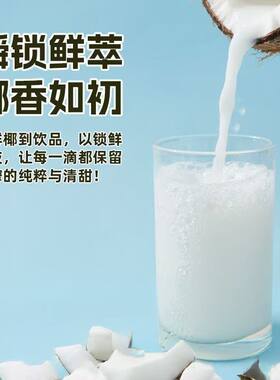 椰汁245ml罐装天然植物蛋白饮料