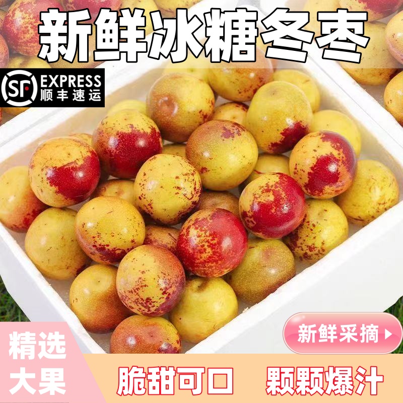 顺丰包邮正宗冬枣新鲜大果应季整箱枣子现摘脆枣冰糖大枣当季水果