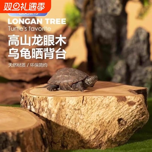 高山龙眼木乌龟晒台龟缸造景摆件天然沉木爬台爬坡休息台防腐皮