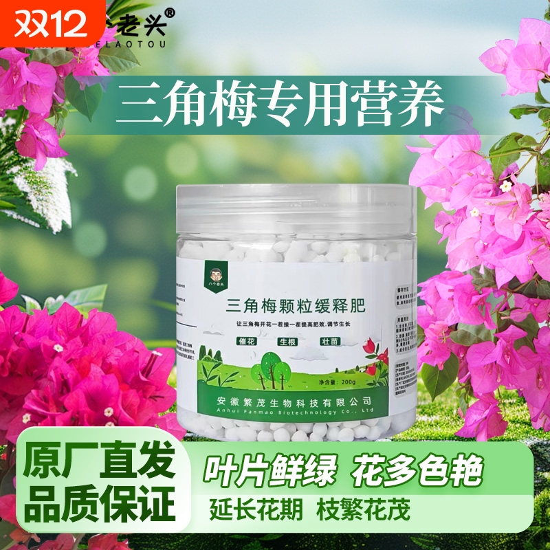 八个老头壮根多花三角梅专用肥