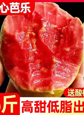 顺丰 福建软糯红心芭乐果新鲜水果包邮大果低糖水果巴乐番石榴