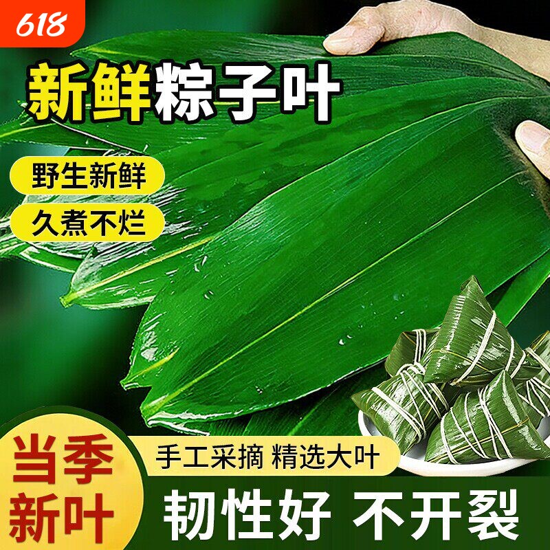 粽子叶棕叶新鲜大号新叶包粽子专用的叶子端午节商用批发干粽叶大