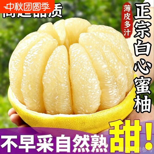 【正宗】福建平和白柚子白心大蜜柚应季新鲜水果孕妇白肉薄皮批发