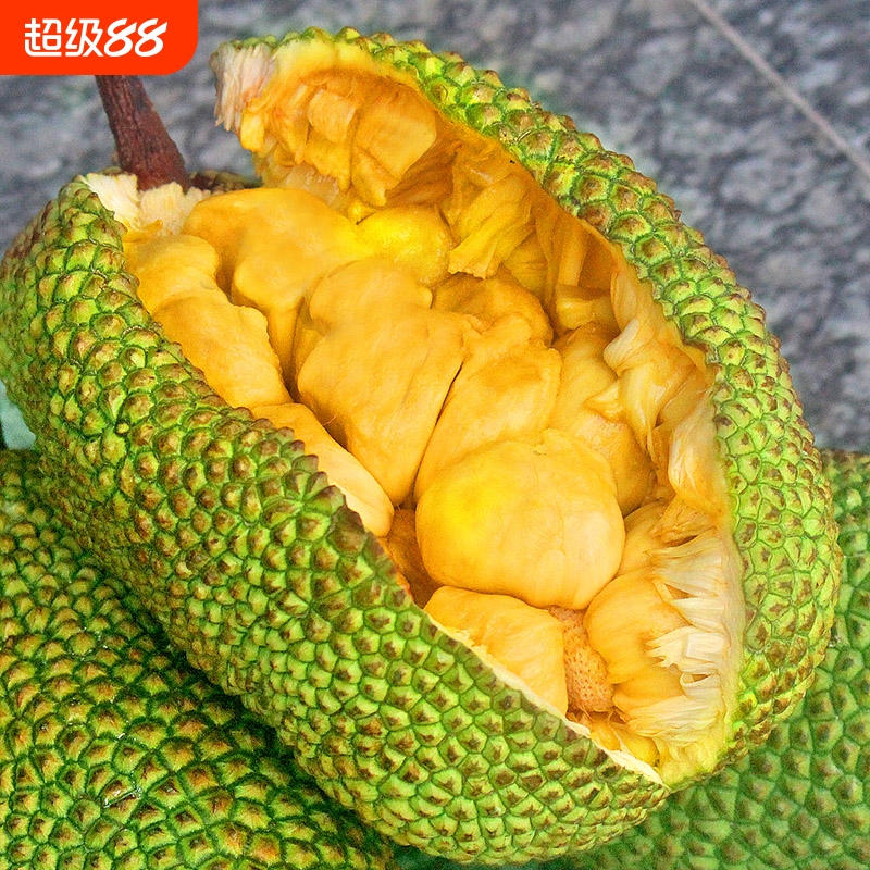 新鲜榴莲蜜菠萝蜜新鲜水果手撕稀有树木包罗整个现摘非榴莲
