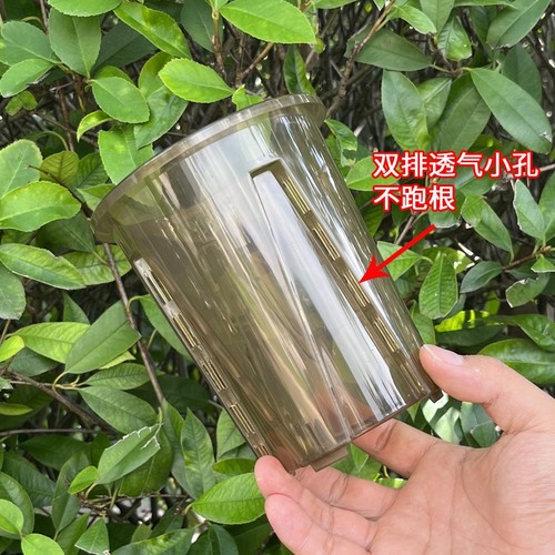 控根盆热绿植龟背竹兰花塑料花盆