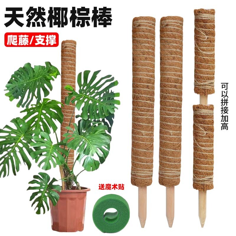攀爬柱椰棕棒龟背竹支撑杆固定架植物爬藤花架棕榈皮椰丝苔藓园艺图片