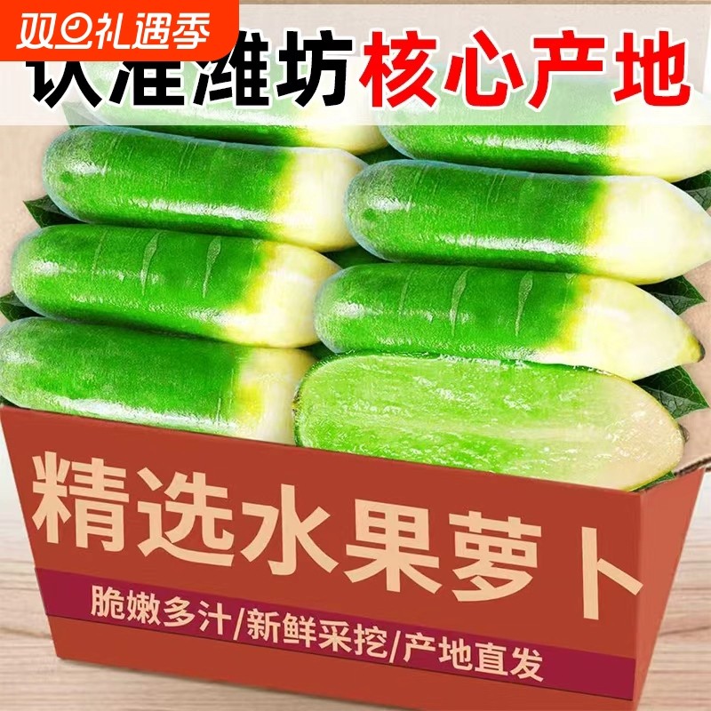 潍坊山东水果萝卜甜脆水果型生吃特产正宗蔬菜新鲜青萝卜脆甜沙窝