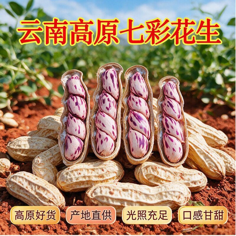 七彩花生五彩新货七彩野地带壳水果新鲜水煮晒干油炸健康特色普洱