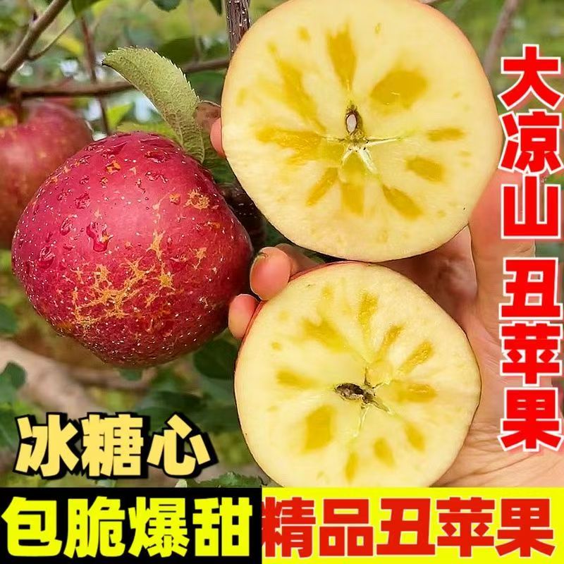 正宗大凉山高原冰糖心苹果盐源红富士丑苹果应季新鲜水果现摘现发