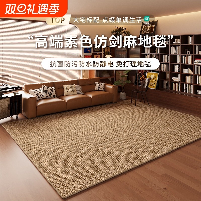 仿剑麻地毯客厅耐磨仿猫爪免洗侘寂中古风地垫奶油高级卧室床边毯