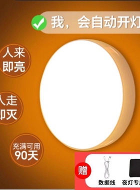 人体感应灯夜间自动过道2026新款智能感应充电小夜灯卧室床头亮人