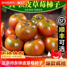 正宗丹东草莓柿子5斤自然熟生吃新鲜水果草莓西红柿铁皮绿腚番茄