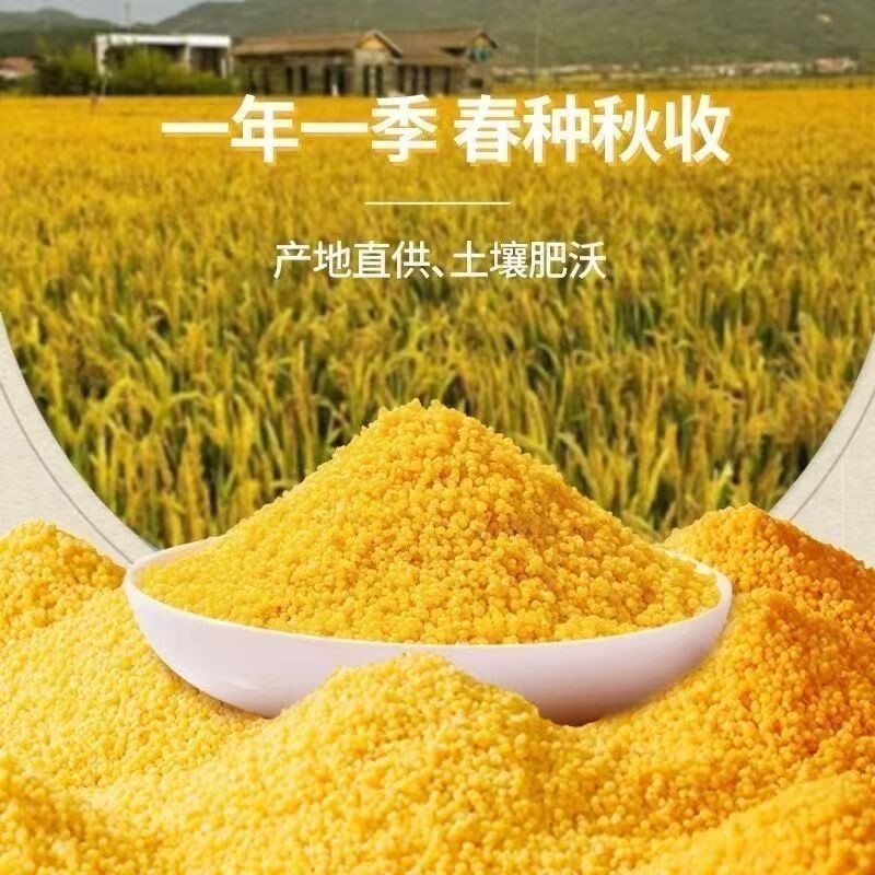 2025新米黄小米5斤农家自产正宗小黄米油厚五谷杂粮米糯米黄金