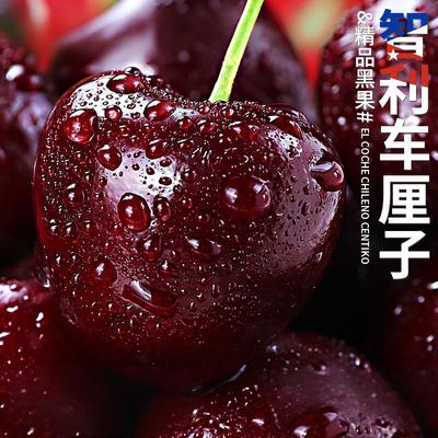 新鲜采摘现货智利车厘子包邮当季脆甜孕妇水果进口3J4J樱桃