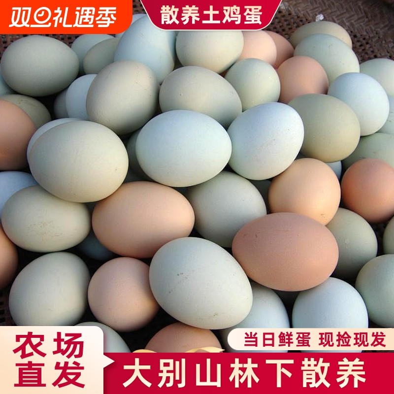 农家散养土鸡蛋湖北大别山谷物蛋宝妈孕妇月子初生蛋绿壳乌鸡蛋