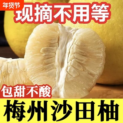 精选纯甜沙田柚包甜不酸