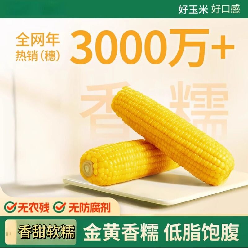 新货东北新鲜粘糯拉丝甜玉米香甜软糯非转基因真空装低脂饱腹代餐